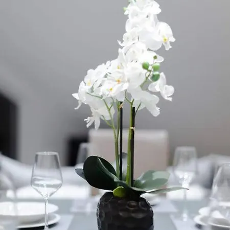 Apartment Ausgestattet Netflix Wifi Veltins Arena Gladbeck