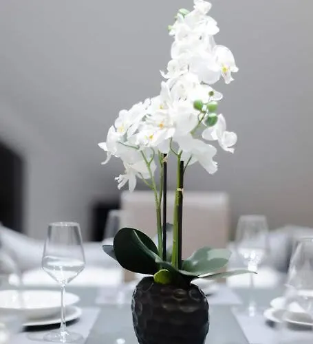 Appartement Ausgestattet Netflix Wifi Veltins Arena Gladbeck